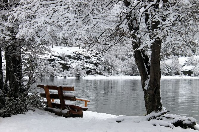 5-Hour Nat Park + City Tour - USHUAIA (Private Tour)