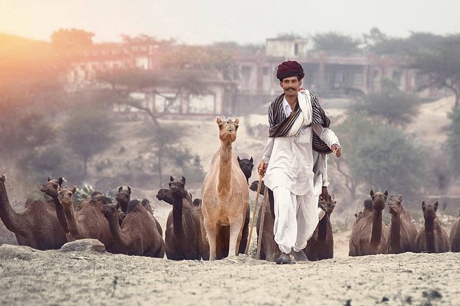 6 Days Golden Triangle Tour With Pushkar : Delhi, Agra and Jaipur