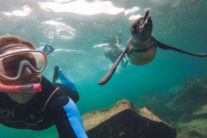 7-day Galapagos on a Budget Experience