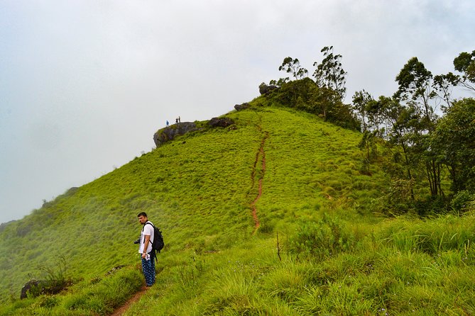7 Days Kerala Tour- Munnar, Periyar, Houseboat & Varkala Beach - Tour Package Overview