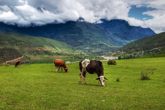 7 Days Thimphu Paro Punakha - Bhutan Culture Tour