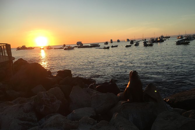 8-Day Galapagos Island Hopping Superior: Kicker Rock, Los Tuneles, Local Flight