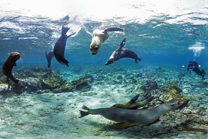 8-day Galapagos on a Budget: 3 Islands Experience - Inclusions and Exclusions