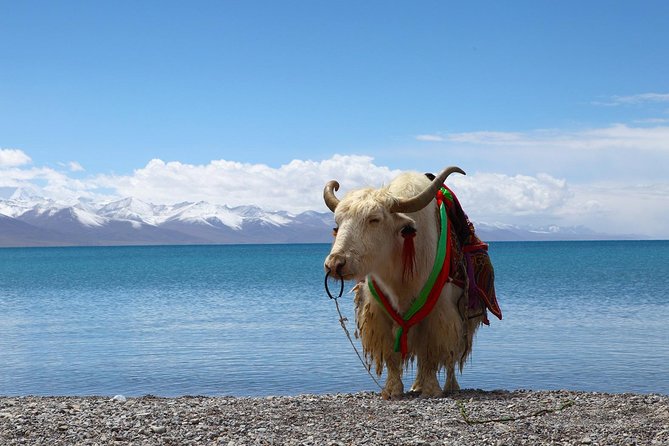 8-Days Heavenly Himalayas- LEH-LADAKH - Itinerary Details
