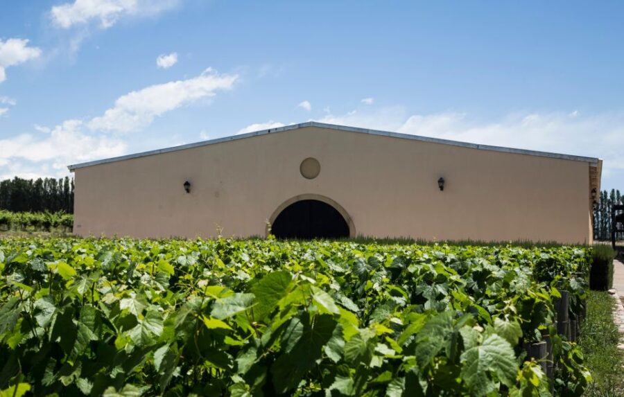 A Day of Rafting, Wineries & Real Asado Argentino