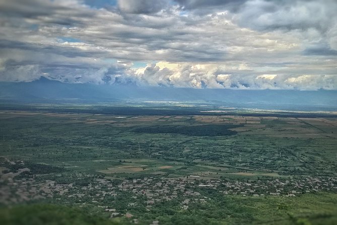 A Day Tour to Kakheti Region/Wine/Culture/History and Gastro Tour