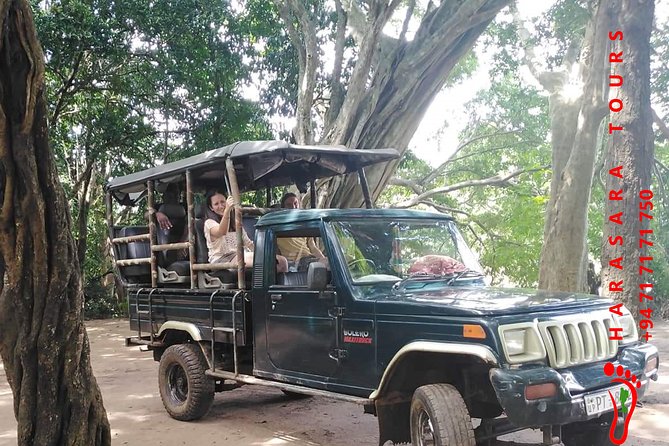 A Udawalawa Park Safari, Tour From Colombo/Galle- (All Inclusive)