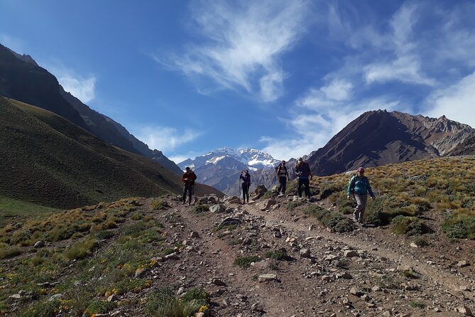 Aconcagua Short Hike, and High Mountain Tour With Barbecue.