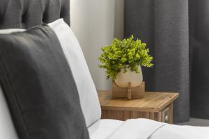 Adelaide Paringa - Hotel Highlights and Location