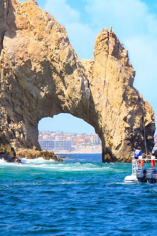 Adventure Combo: Cabo Arch + Camels in the Desert and Food - Tour Overview and Pricing