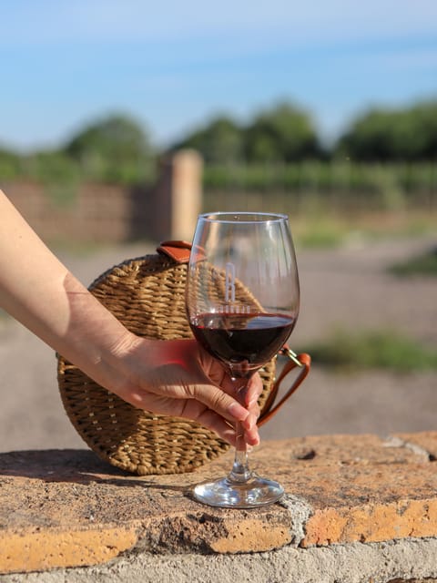 Aguascalientes: Explore Two of the Best Vineyards