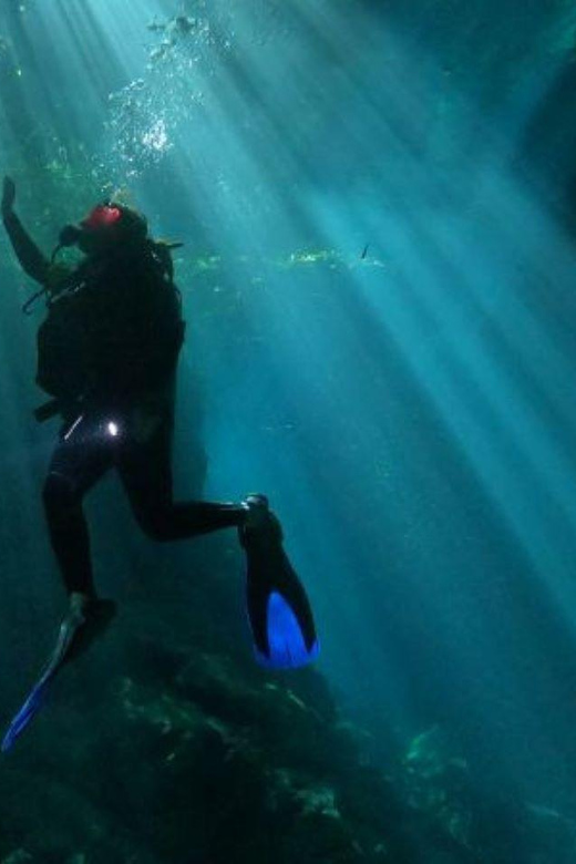Akumal: 2 Tank Diving at Jardin Del Eden and Casa Cenote
