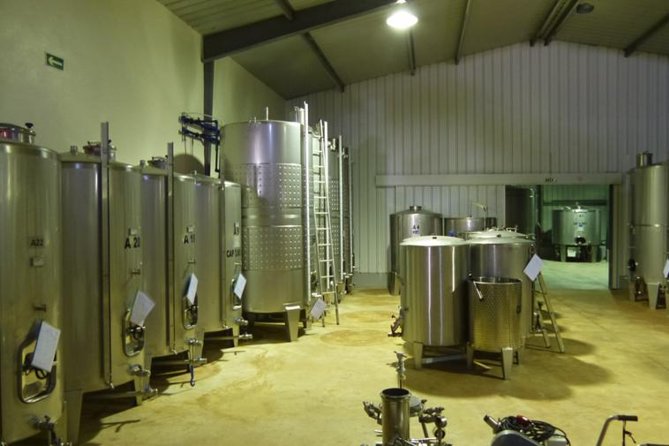 Algarve Wine Tour and Farmers Lunch at Wine Estate