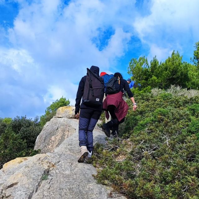 Alghero: Griffon Vulture Trek in Porto Conte Park