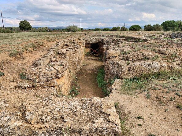 Alghero: Private Archaeological Tour (Transfer Included) With Local Guide