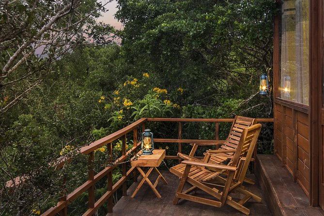 All Inclusive Leopard Nest Luxury Glamping Experience in Yala - Glamping Experience Overview