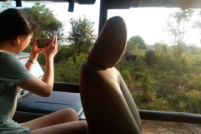All Inclusive Safari at Udawalawa National Park