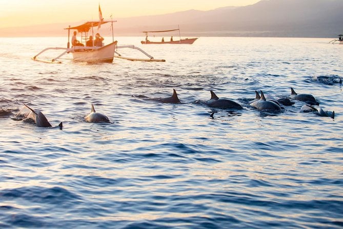 Amazing Private Tours: Dolphins Lovina and Gitgit Waterfall Include Lunch
