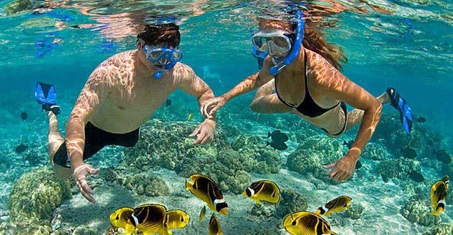 Amazing Snorkeling at Cham Island - Activity Overview and Pricing