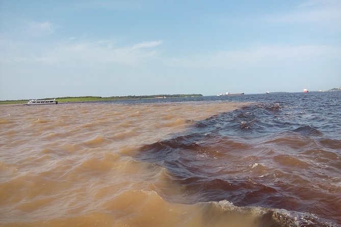 Amazon Adventure Trip 4D/3N at Tapiri Rio Negro Lodge