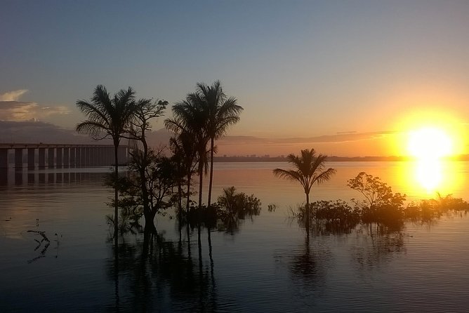 Amazon and Negro Rivers Experience With Night Exploration Tour - Tour Overview