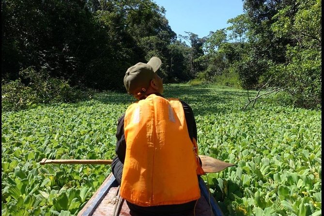 Amazon Jungle Expedition 4/ Days 3/ Nights 480 Usd