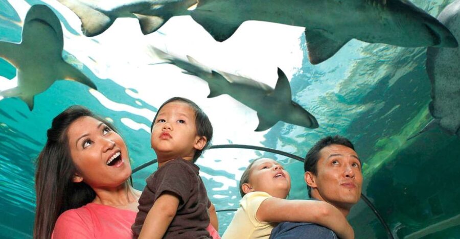 American Dream: SEA LIFE® Aquarium Entry Ticket