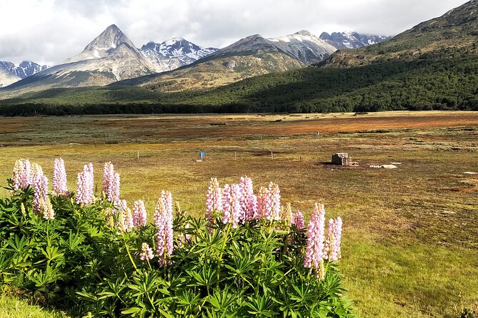 Andes Crossing: Escondido and Fagnano Lakes With Lamb Included