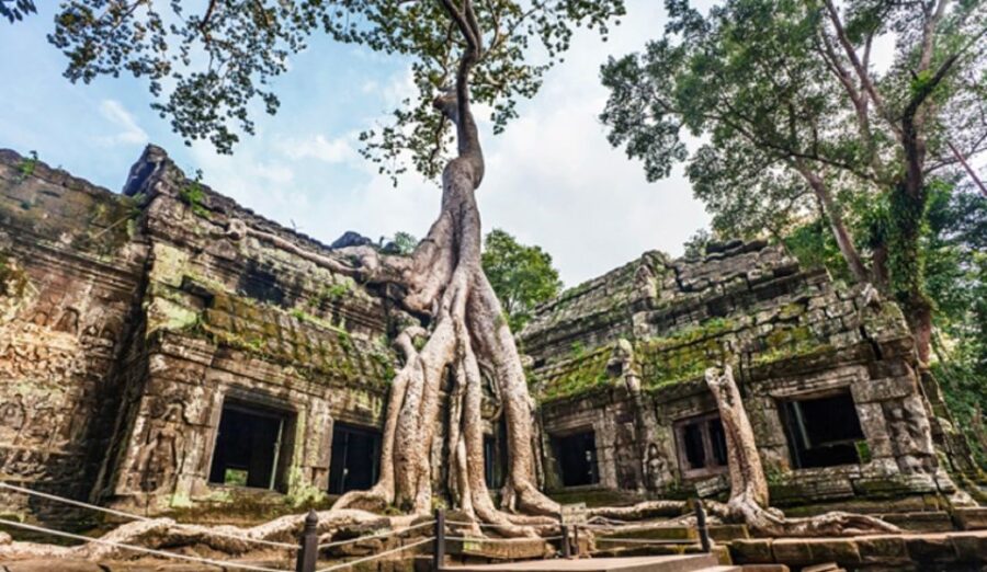 Angkor Wat Small Cycle With Private Tuk-Tuk