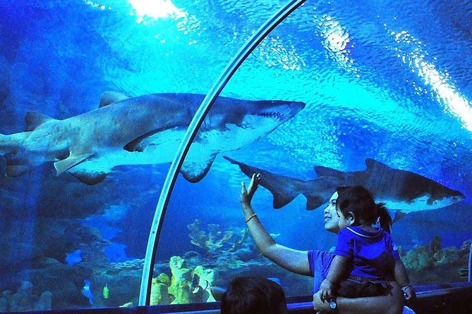Aquaria KLCC Admission With Kuala Lumpur City Famous Landmarks