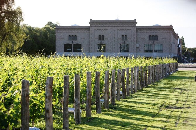 Argentine BBQ Experience and Winery Visits.Transfer Included