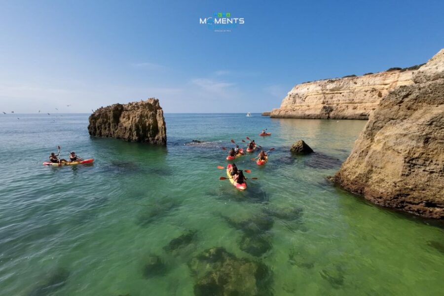 Arm of Pear: 2-Hour Wild Beaches and Caves Kayak Tour - Tour Overview