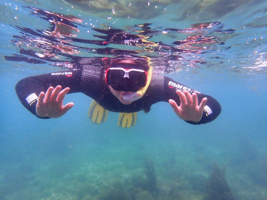 Arrábida: Snorkeling Experience in Arrábida Marine Reserve