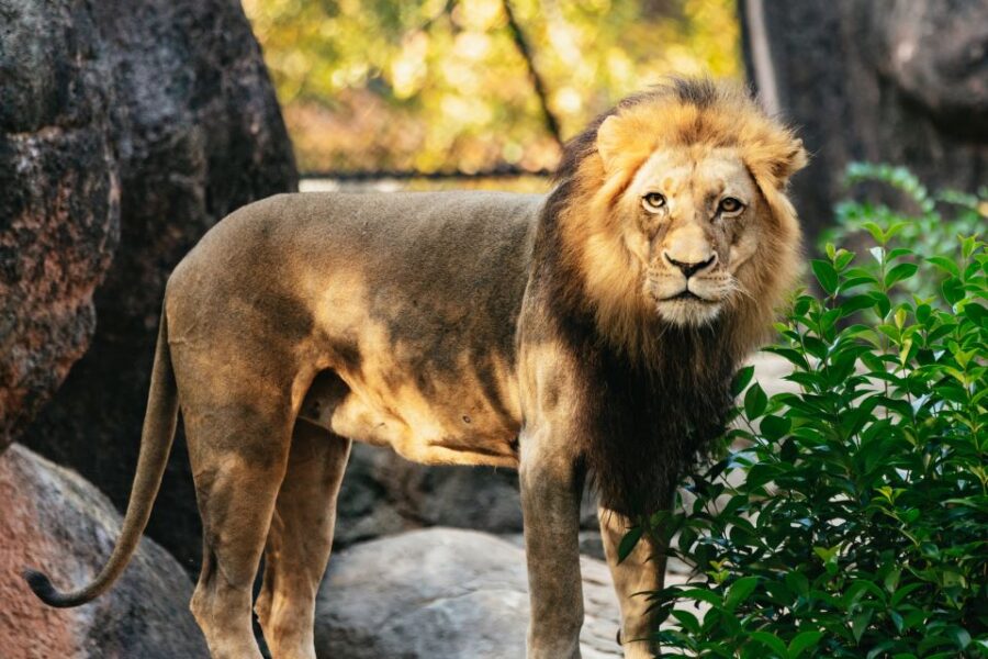 Atlanta: Zoo Atlanta General Admission Ticket
