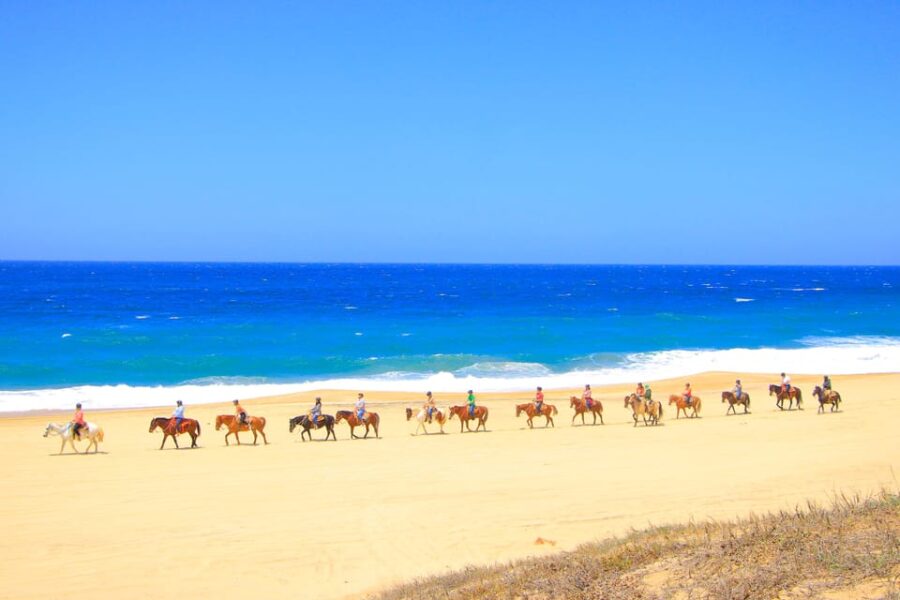 ATV Automatic 4X4 & Horseback Riding in Cabo by Cactus Tours