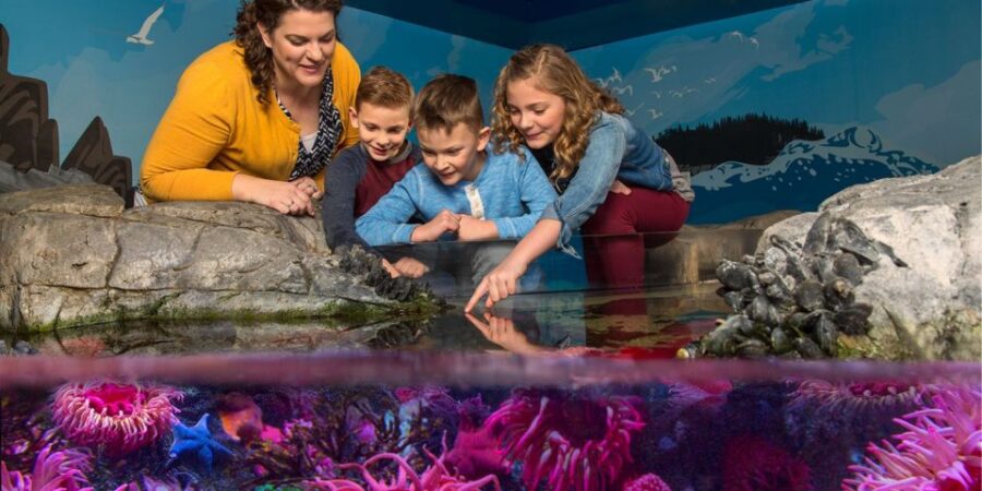 Auburn Hills: Legoland and Sea Life Aquarium Combo Ticket