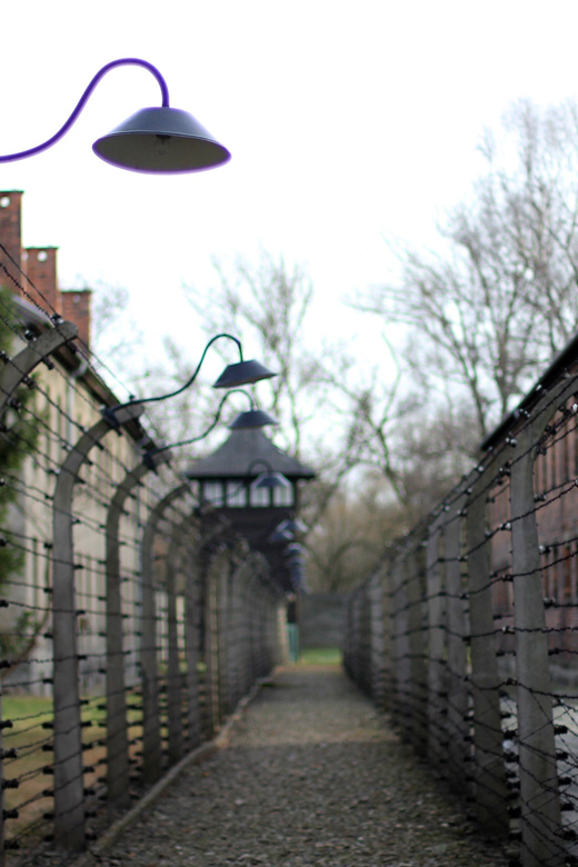 Auschwitz-Birkenau Full-Day Tour From Lodz by Private Car