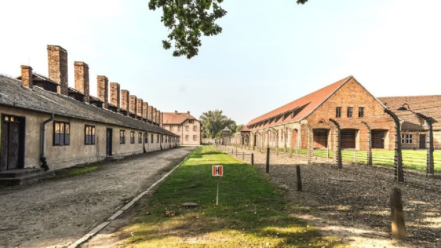 Auschwitz-Birkenau Museum Tour From Krakow