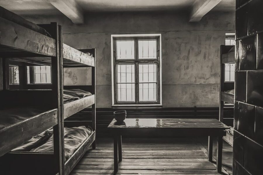 Auschwitz-Birkenau & Salt Mine Tour in One Day From Krakow