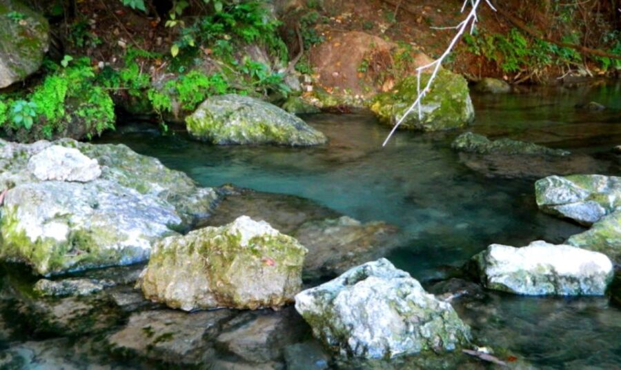 Austin: Journey to the Springs Guided Tour