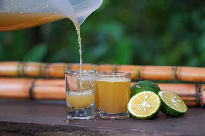 Authentic Experience of Coffee, Cane and Caco Inside the Forest