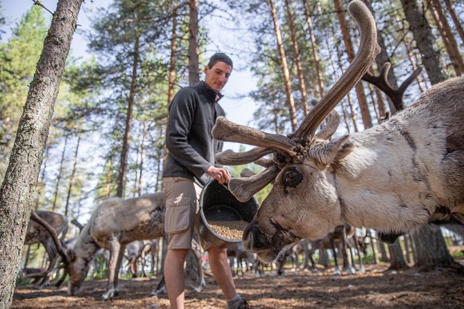 Authentic Reindeer Farm and Canoe Experience From Rovaniemi. - Exploring the Reindeer Farm