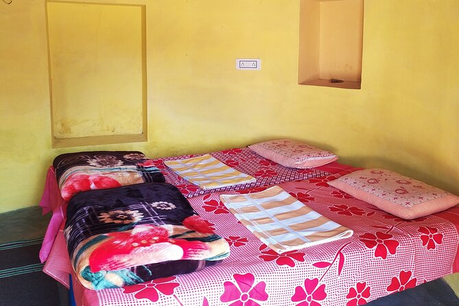 Authentic Rural Homestay in Desert Under Stars, Near Jodhpur