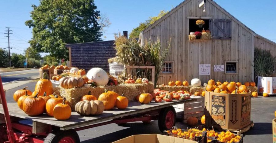 Autumn in New England