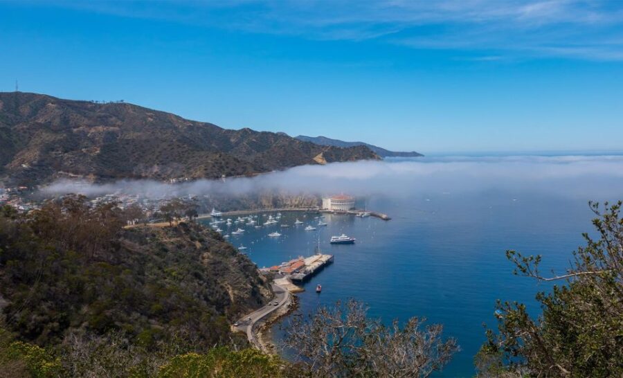 Avalon, Catalina Island: 2-Hour Inside Adventure Tour