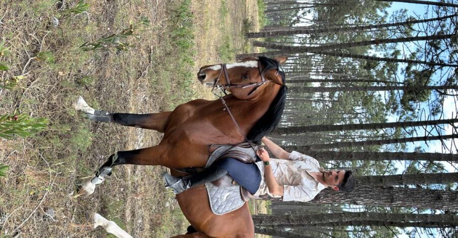 Aveiro: Horse Riding Experience With Instructor
