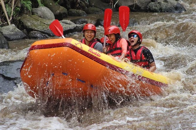 Ayung River Half-Day White Water Rafting Bali in Ubud - Overview of the Rafting Experience