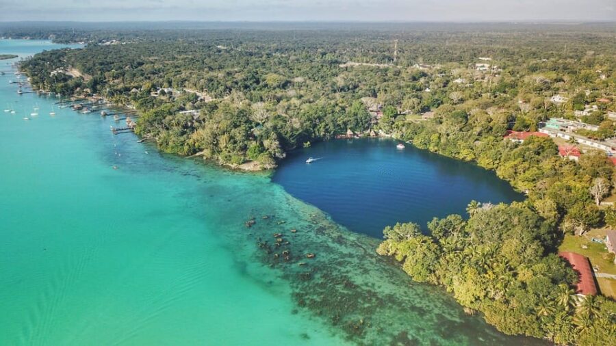 Bacalar