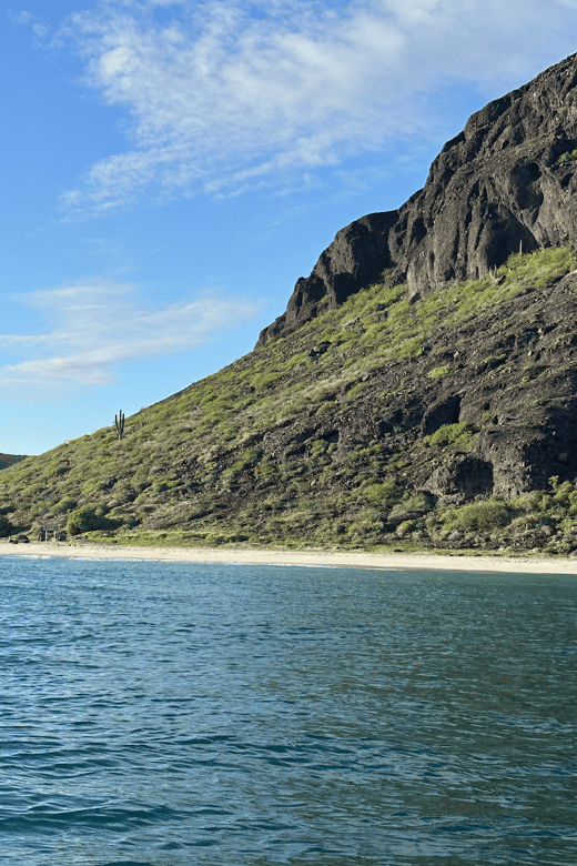 Balandra and Tecolote Beaches Day Trip With Lunch