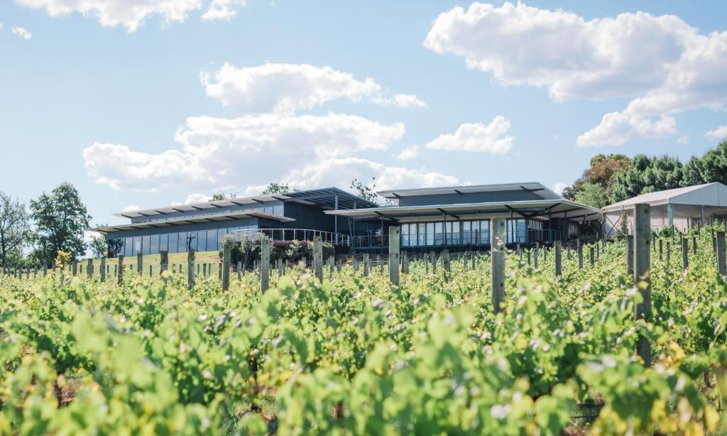 Balgownie Estate Yarra Valley Review
